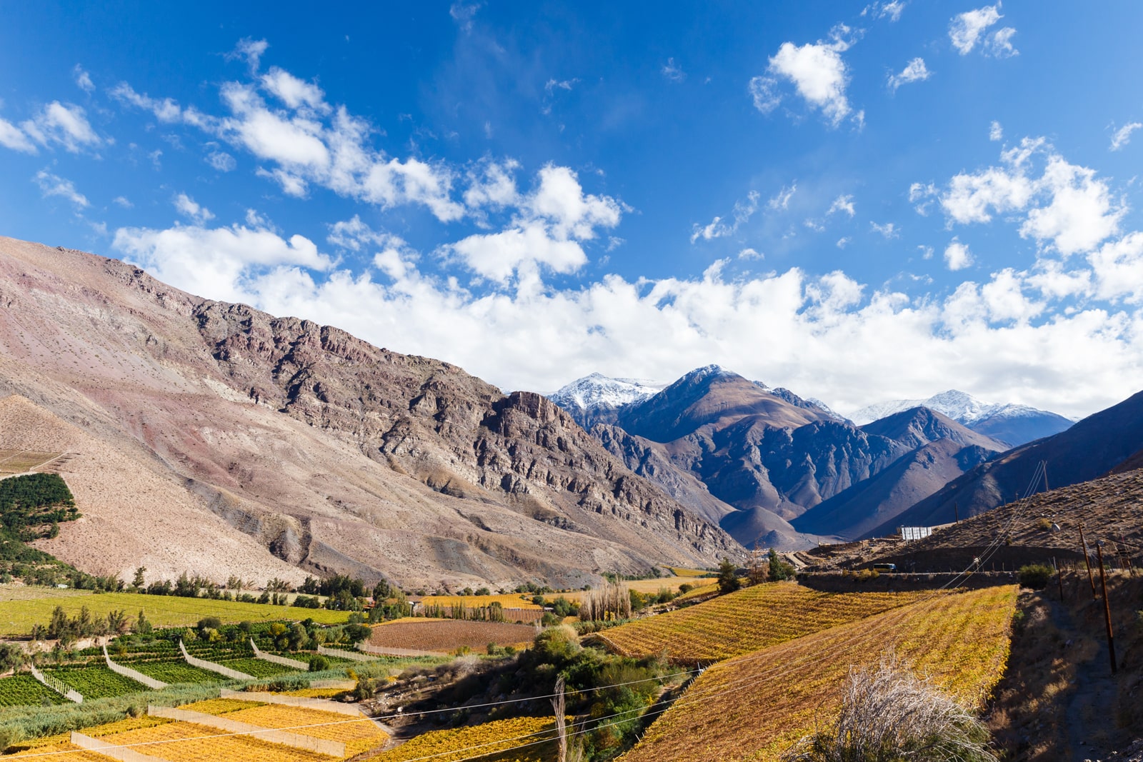 tour coquimbo valle elqui