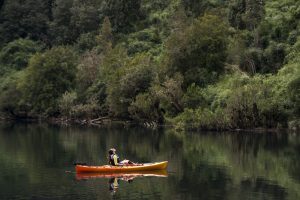 Kayaking